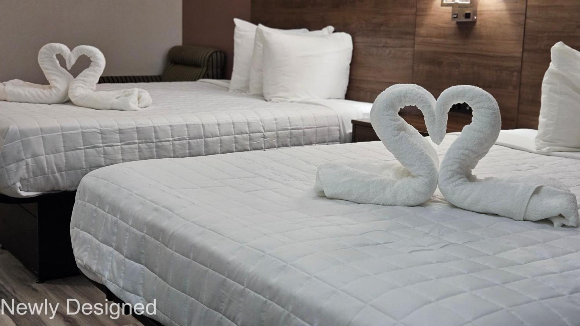 Best Western Hopkinsville Ky - Brand New Rooms Kültér fotó